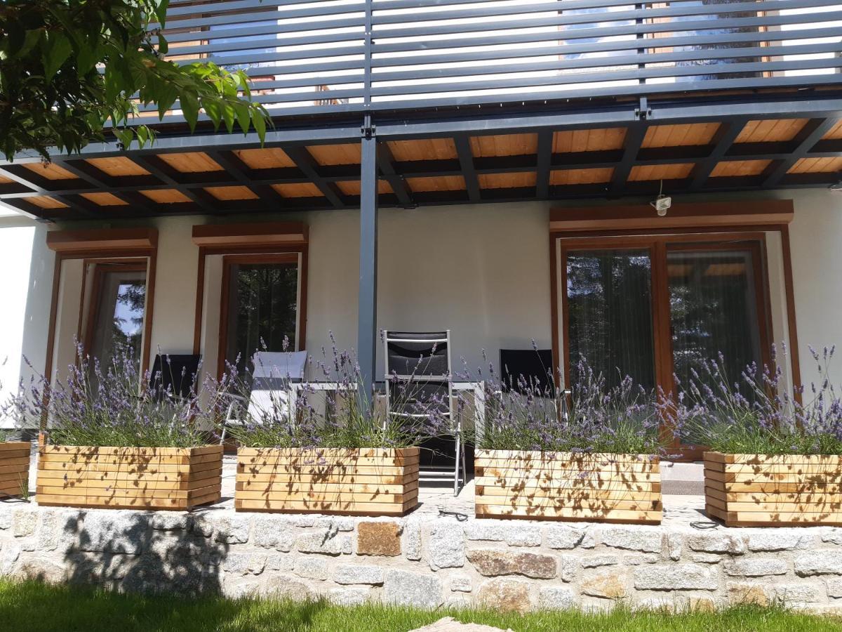 Apartamenty Przy Swierku Schreiberhau Exterior foto
