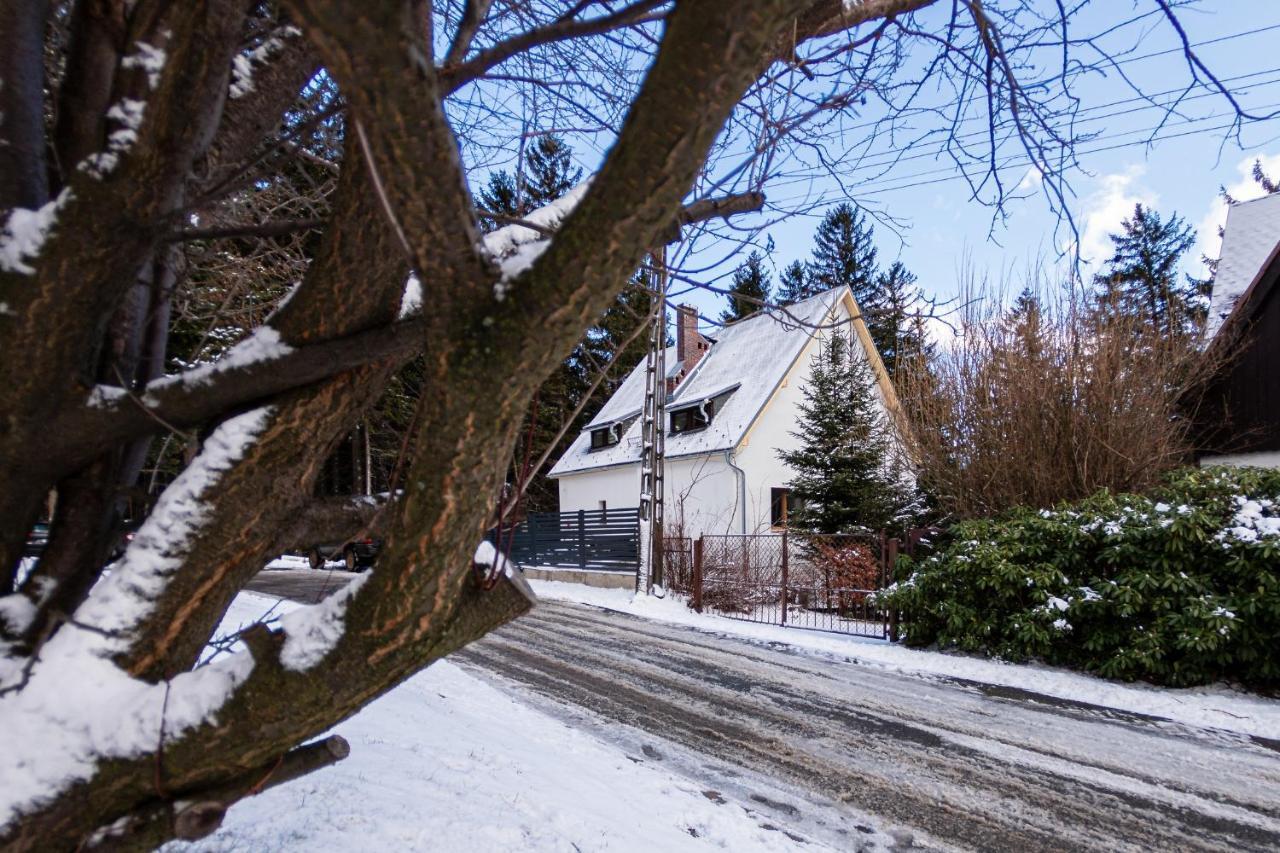 Apartamenty Przy Swierku Schreiberhau Exterior foto